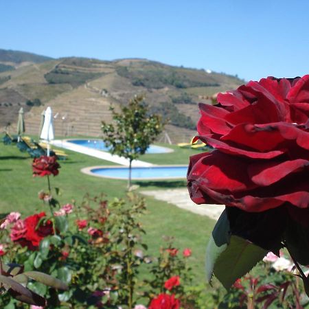 Hotel Rural Da Quinta Do Silval Vale de Mendiz Ngoại thất bức ảnh