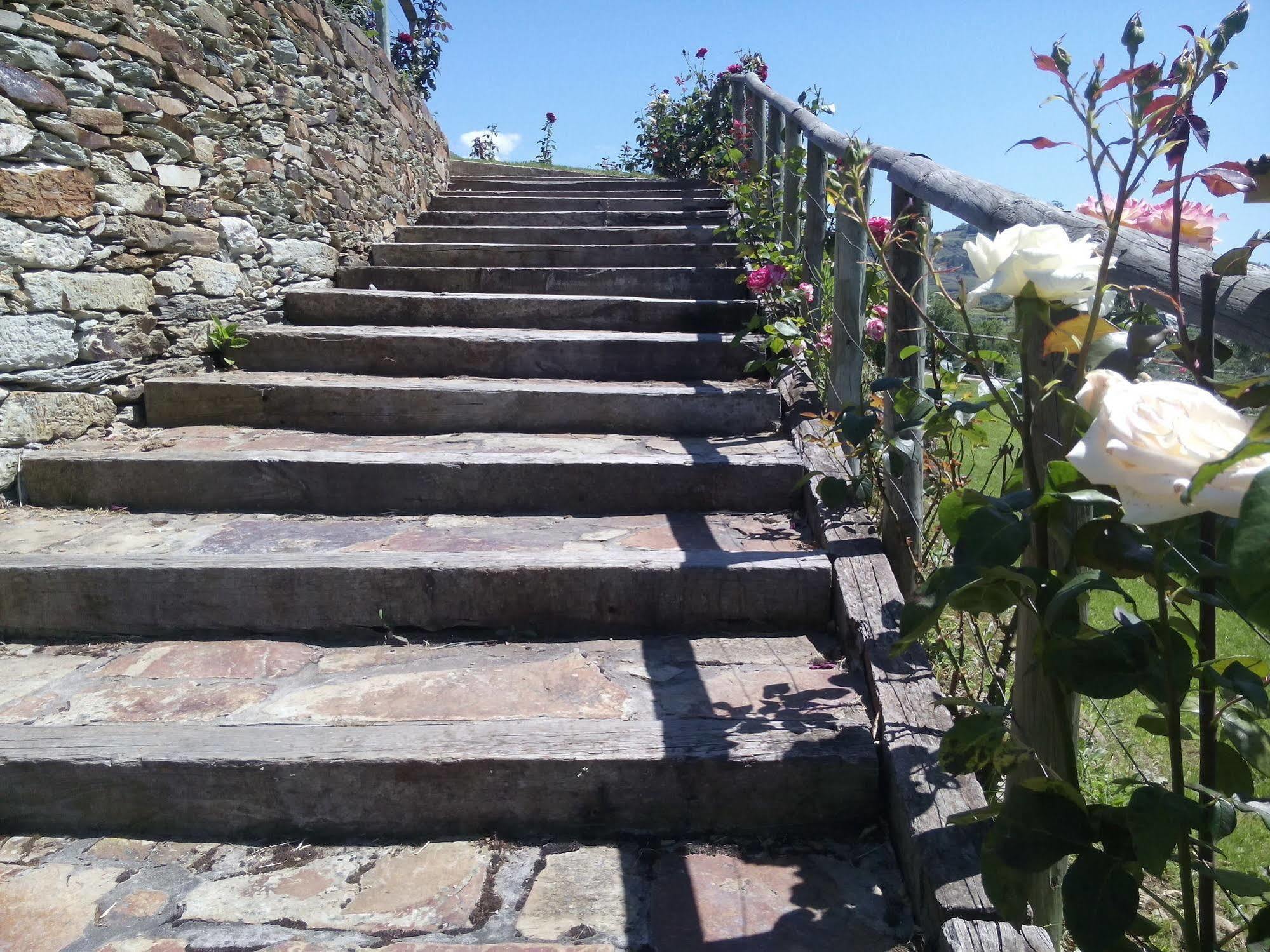 Hotel Rural Da Quinta Do Silval Vale de Mendiz Ngoại thất bức ảnh